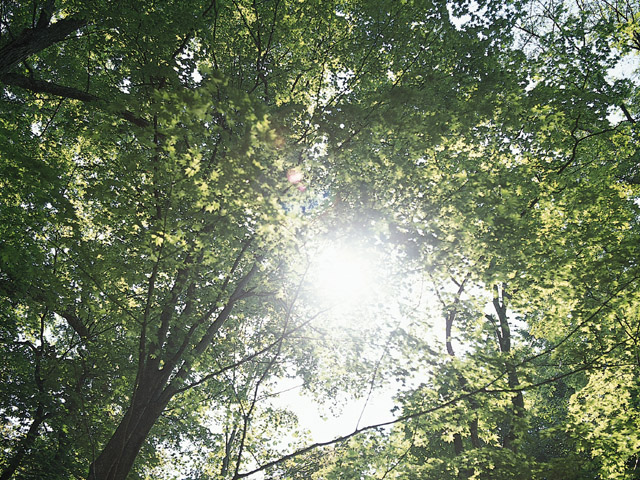 。＊ペンデュラムを用いた占星術＊。の写真